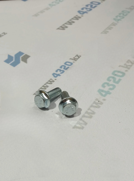 Болт М10-6gх30-8,8