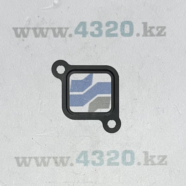 Прокладка заглушки подводящего патрубка